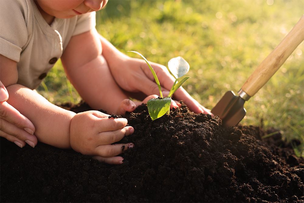 Planting a plant