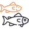 icon of two fish